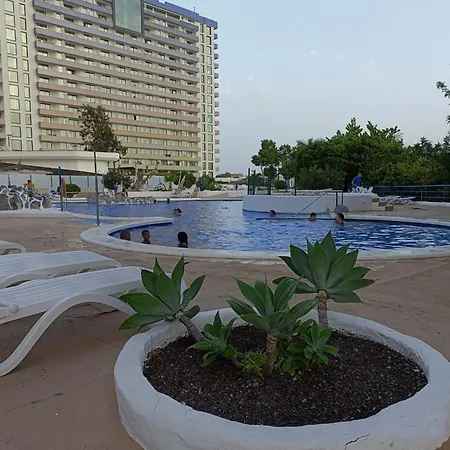 Apartment Cozy Next To The Sea Costa Adeje (Tenerife)